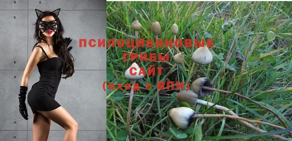 не бодяженный Алексеевка