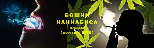 ГАЛЛЮЦИНОГЕННЫЕ ГРИБЫ Алзамай