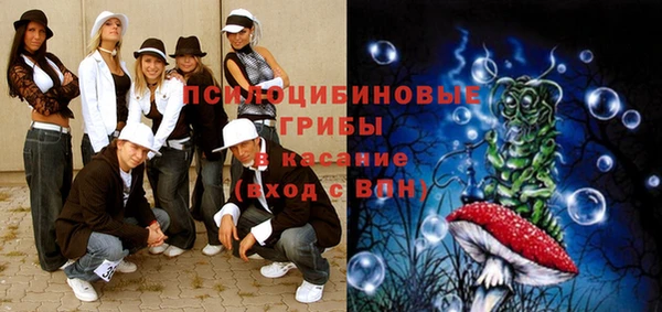 кокс Алексин